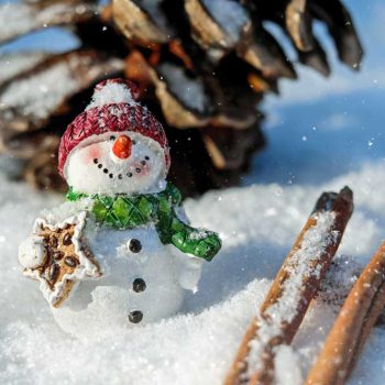 Mini Schneemann mit Zimtstern im Schnee vor Tannenzapfen